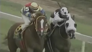 MIRACLE MAN STORY  CHAMPION RACEHORSE