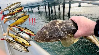 Fishing the Savage Gear Mullet Lure at Hays Inlet for Flathead (includes underwater footage of lure)