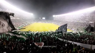 ¡SOMOS FINALISTAS! | Coros Frente Radical Verde | Deportivo Cali 2-0 Junior | Santiago Del Cali