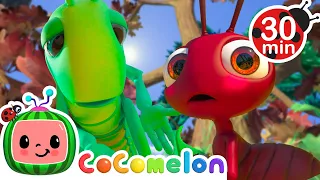 The Ant and The Grasshopper | COCOMELON 🍉 | Lullabies & Nursery Rhymes | Baby Sleep Songs