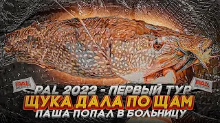 ЩУКА ДАЛА ПО ЩАМ. Пашу отвезли В ТРАВМПУНКТ. PAL 2022, 1 ТУР