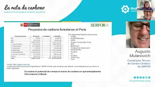 Desarrollo de proyectos de Carbono Forestal y reducción de emisiones | La ruta del Carbono