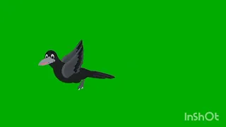 CROW talking green screen video crow flying video crow eating video cartoon  free green screen video