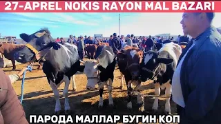 27-АПРЕЛЬ НОКИС РАЙОН МАЛ БАЗАР/СКОТНЫЙ РЫНОК/BUQALAR/BIGGEST BULLS IN THE WORLD/BIGG BULLS