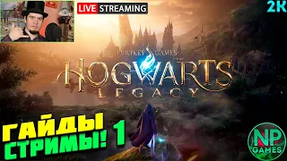 РЕЛИЗ ОТВЕТЫ НА ВОПРОСЫ Hogwarts Legacy ПРОХОЖДЕНИЕ СОЗДАНИЕ ПЕРСОНАЖА НАСТРОЙКА ГРАФИКИ 8гб