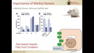 Updated Research: Understanding the Role of Hepatic Methyl Metabolism - Heather White, PhD.