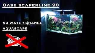 Aquascape Oase 90 / no water changes