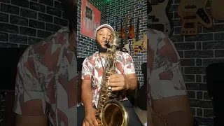 The storm is over (Sax Cover) #saxcover #saxophone #tenorsaxophone #tenorsax #viral #viralvideo