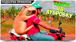 ПРИКОЛЫ и НЕУДАЧИ 2016 большая видео подборка приколы 2016 BEST FUNNY VIDEOS