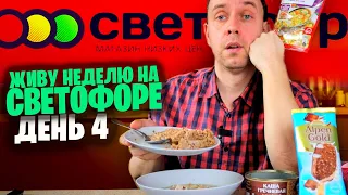 ПЕРВЫЙ РАЗ ЭТО ГОТОВЛЮ 🚥 В СВЕТОФОРЕ КУПИЛ ВСЯКОЕ