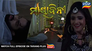 Mayabini | Ep 30 | 19th Nov 2022 | Best Scene | Odia Serial–TarangTV