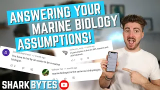 ANSWERING Your Assumptions about Marine Biology & Shark Science!