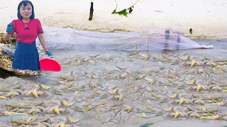 [[English sub] Xiao Zhang rushed to the sea, prawns flooded on the beach, starfish were oversized,