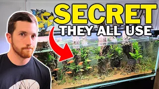 This is ACTUALLY The Method For Crazy Clear Aquarium Water...