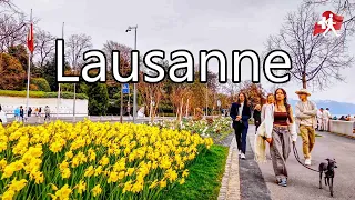 Switzerland 🇨🇭 Lausanne Enjoy Spring Walk in Swiss City Walking Tour 4K