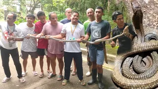 KING COBRA HULE SA BRGY TALA