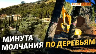 В Форосе уничтожают парк: столетние деревья идут под бульдозер | Крым.Реалии ТВ