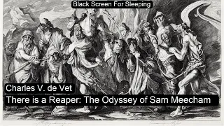 There is a Reaper: The Odyssey of Sam Meecham  by Charles V. de Vet Black Screen For Sleeping