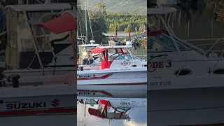Марина в красивом Канадском городе Ucluelet.  #канада  #рыбалка  #люди и лодки