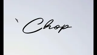 ALU x YAPI - CHOP (Official Video)