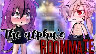 the alpha’s roommate || GLMM || GachaLife MiniMovie ||