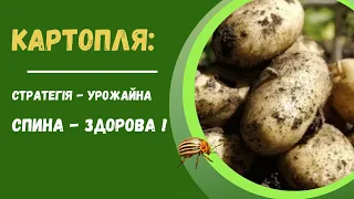 Як виростити картоплю для власного споживання з найменшими втратами для власного здоров'я:))