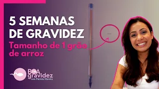 5 SEMANAS DE GRAVIDEZ - 2° Mês de Gravidez