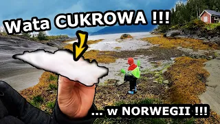 Wesołe Miasteczko  w NORWEGII !!! - Ile Kosztuje? - Wjeżdżamy na Camping Yttervik / Łowimy Ryby #577