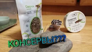 КОНСЕРВЫ ДЛЯ ЭУБЛЕФАРА???