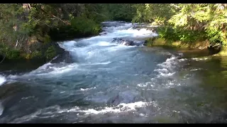 RELAXING 3 HOUR VIDEO OF A MOUNTAIN STREAM 2021 HD