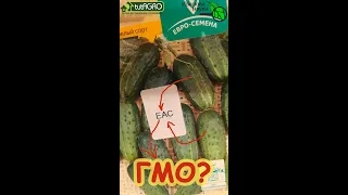 ШОК! ОБМАН ПОВСЮДУ! Как случайно не купить ГМО семена и как не попасться на удочку обманщиков!