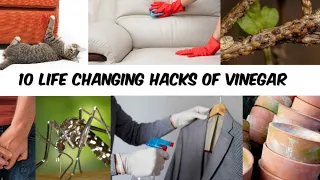 10 Awesome Vinegar Life Hacks | Vinegar Hacks | Amazing Vinegar HACKS