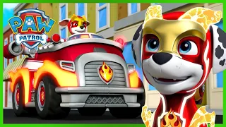 Over 1 Hour of Marshall Rescues and MORE 🔥 | PAW Patrol | Cartoons for Kid