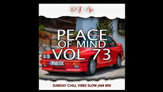 PEACE OF MIND VOL 73 | SUNDAY CHILL VIBES | SLOW JAM MIX | DJ Ace ♠️