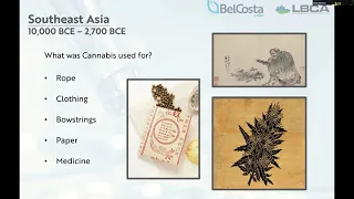 LBCA 101A : Intro to Cannabis History (Cannabis Education)