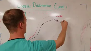 Oxygen Dissociation Curve: High Yield Mnemonic and Discussion