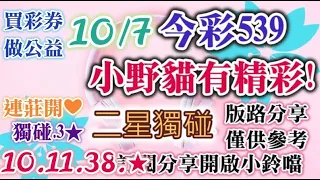 10/7 今彩539 小野貓有"精彩"539 二星獨碰版路分享 連莊開❤10.11.38★獨碰