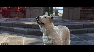 Baldur's Gate 3 - Act 3 Baldur's Gate: Speak To Sparky The Dog and Send Him Home to Albert Gameplay