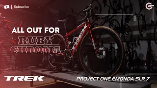 She sold all her old bikes to get Trek P1 Emonda SLR 7 Ruby Chroma (Trek Segafredo Limited Edition)