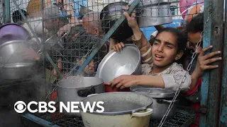 Famine expert analyzes humanitarian crisis in Gaza