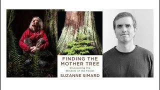 Finding the Mother Tree: A Virtual Evening with Suzanne Simard and Hamilton Cain