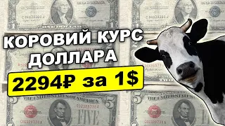 2294₽ за 1$: Реальный курс доллара по цене коровы в рублях 1914 года