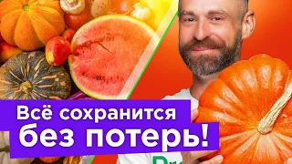 300 КОЧАНОВ КАПУСТЫ, 400 Л МАЛИНЫ И НЕ ТОЛЬКО! Вот какой урожай вырос в 2023 г и как все сохранить