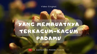 💞 Ini yang membuat dia terkagum-kagum padamu