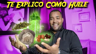 Te Explico Como Huelen estas 5 Notas de La perfumeria #1