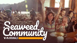 Seaweed Community | 52 Documentary.