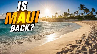 The Truth About Maui Travel in 2024 🌺