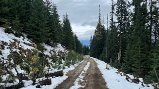 2022 Idaho Whitetail Deer Hunt! BIG Doe Down!