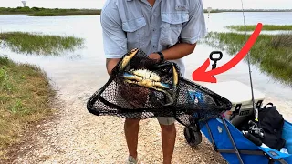 Crabbing in Galveston | CHEAP!!