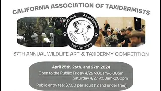 2024 California Association of Taxidermists Show Walkthrough